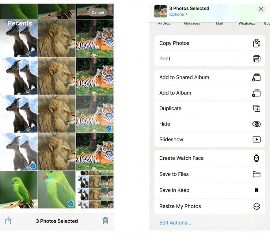 select the images to resize
