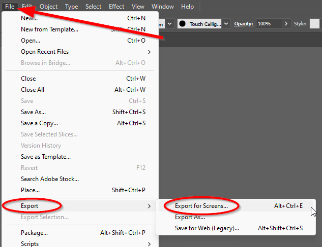 export after resizing