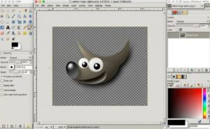 How to Resize an Image in GIMP: Complete Guide - Oualator